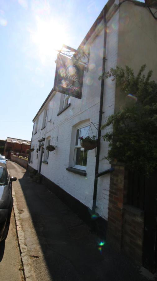 The White Lion At Wicken Bed and Breakfast Milton Keynes Exteriör bild